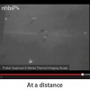 Video: Surveying a bat maternity roost - At a distance