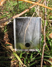 Longworth trap with shrew hole