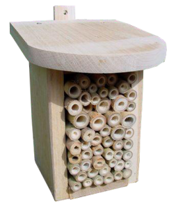 Beneficial Insect Box