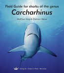 Field Guide for Sharks of the Genus Carcharhinus jacket image