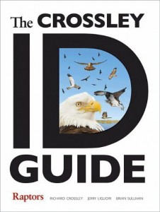 The Crossley ID Guide: Raptors jacket image
