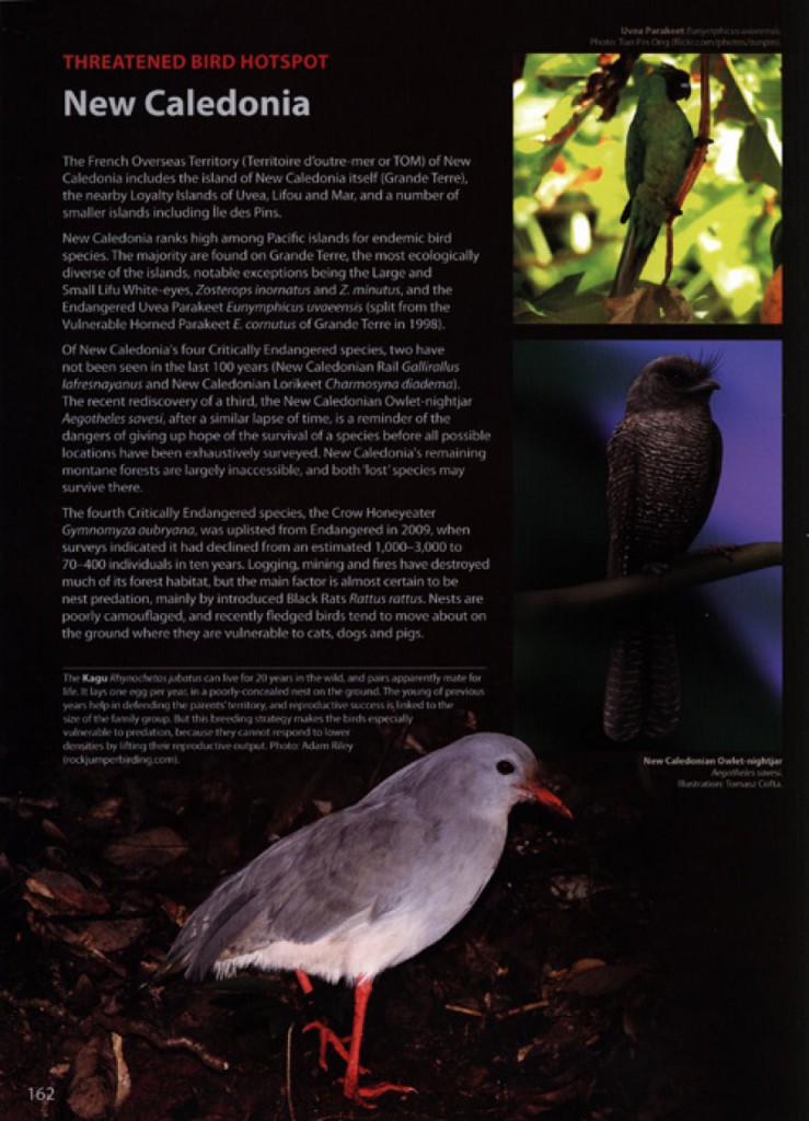 New Caledonia - The World's Rarest Birds page detail