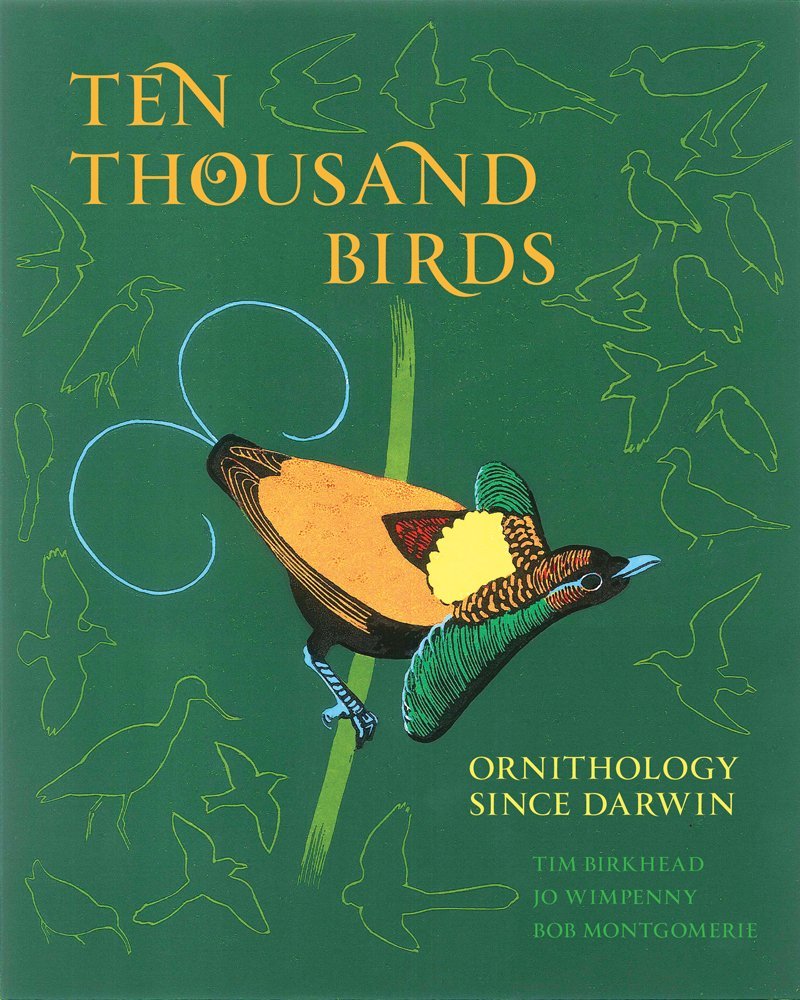 Ten Thousand Birds jacket image