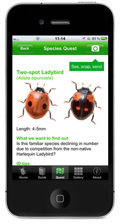 Apps for Wildlife Lovers - Opal Bugs Count