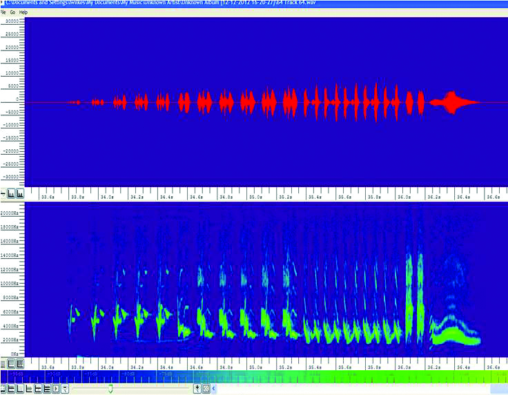 Sonogram to go with chaffinch