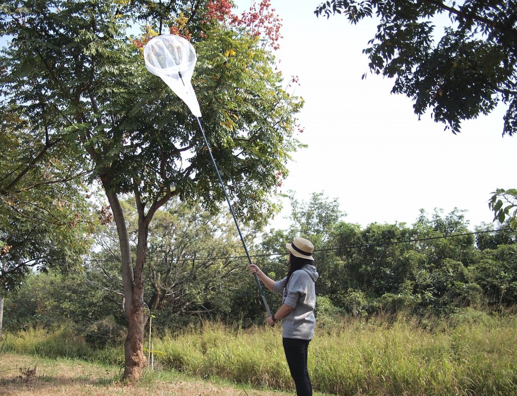 Insect net