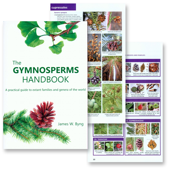 The Gymnosperms Handbook: A Practical Guide to Extant Families and Genera of the World