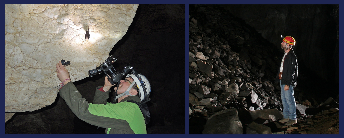 Christian Dietz and Andreas Kiefer, authors of Bats of Britain and Europe