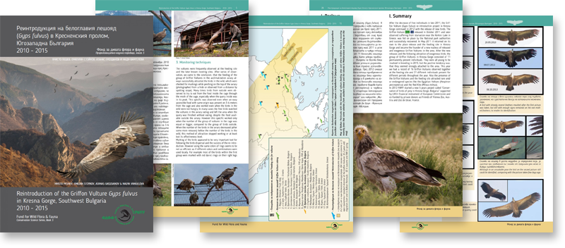 Reintroduction of Griffon Vulture Gyps fulvus in Kresna Gorge, Southwest Bulgaria 2010-2015 [English / Bulgarian]