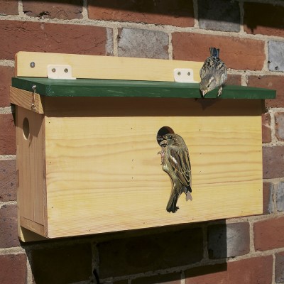 House Sparrow Terrace FSC Nest Box