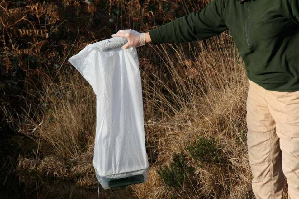 Dewsbury Newt Trap