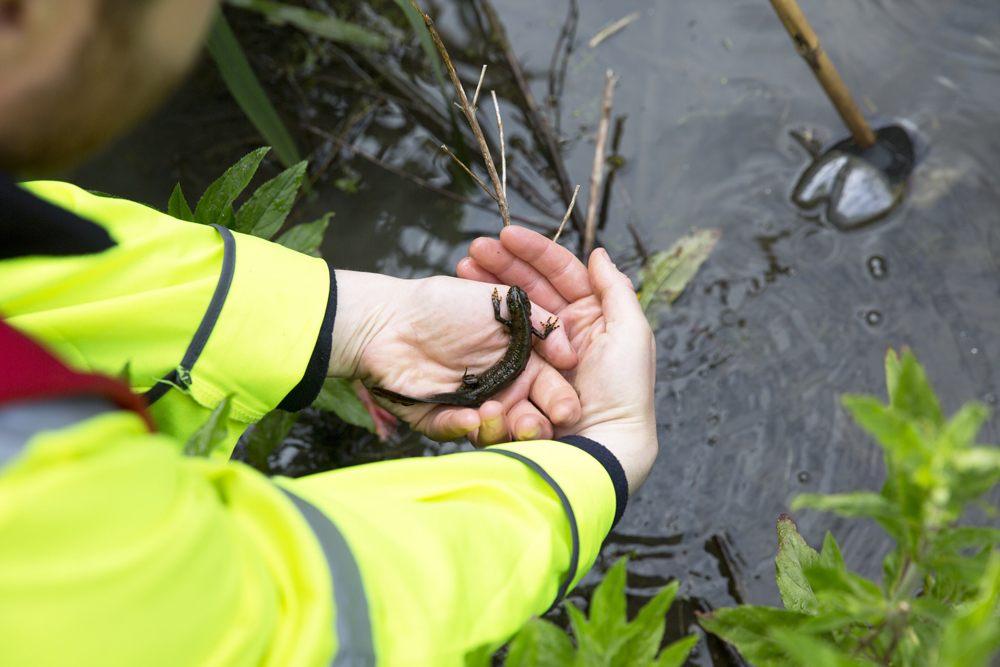 05_2015_066 by Highways England via Flickr under license CC BY 2.0