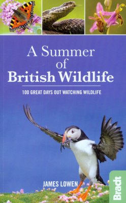 A Summer of British Wildlife: 100 Great Days Out Watching Wildlife