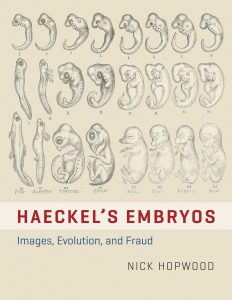 Haeckel's Embryos