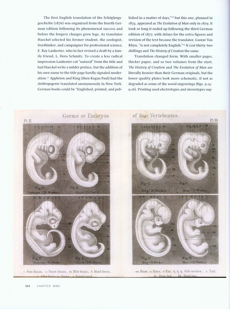 Haeckel's Embryos page 164