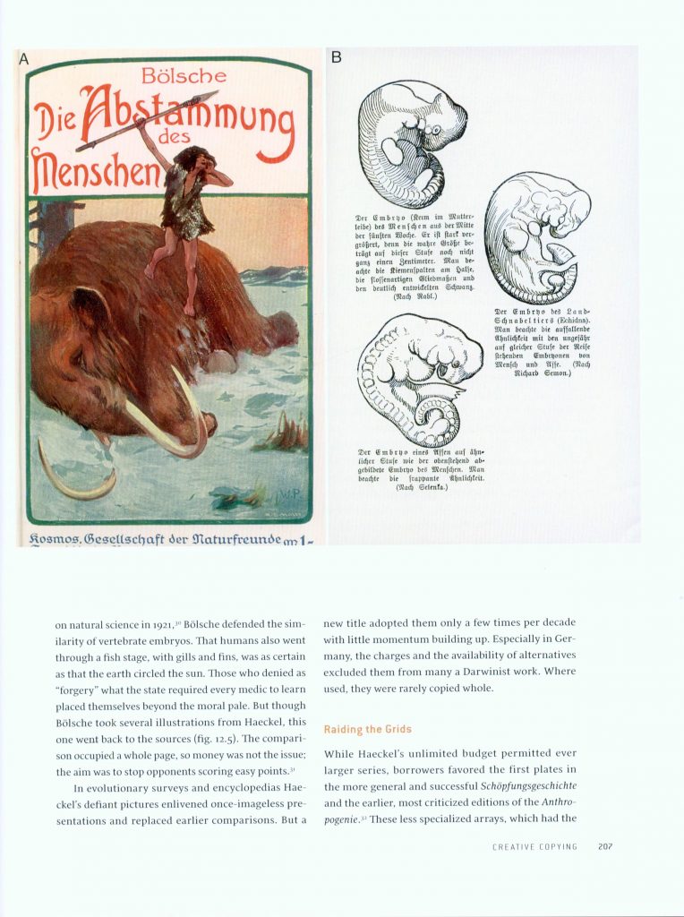 Haeckel's Embryos page 207