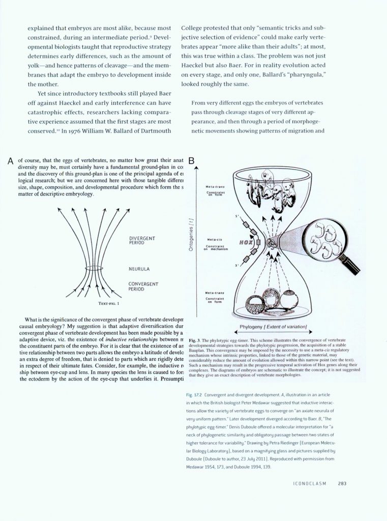 Haeckel's Embryos page 283