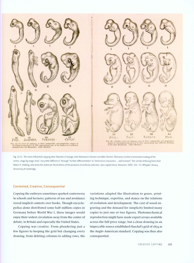 Haeckel's Embryos page 215