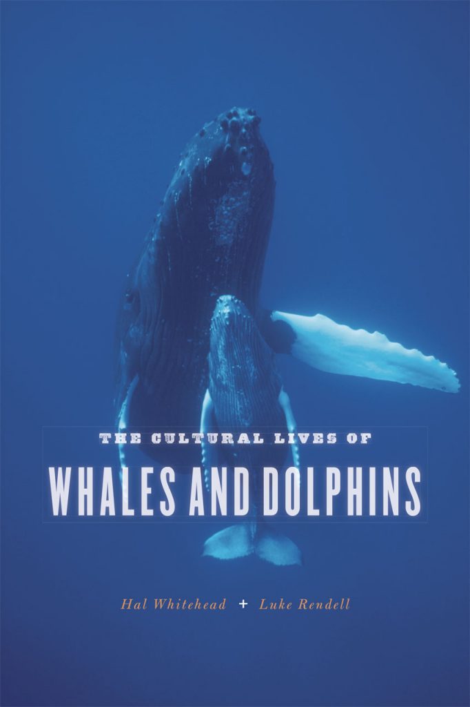 The Cultural Lives of Whales and Dolphins