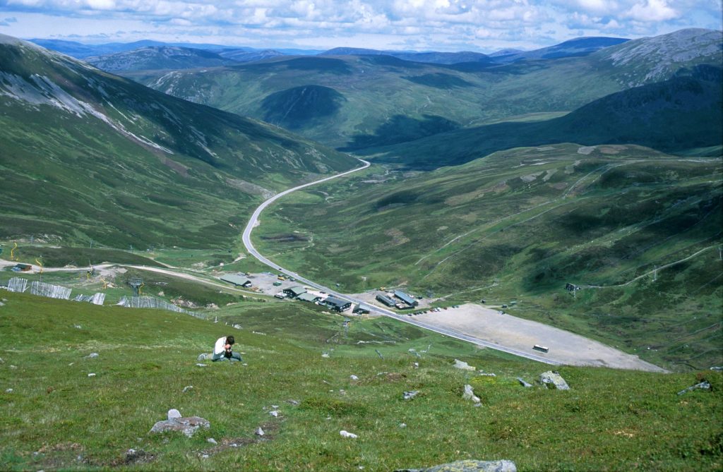 The slopes of the Glenshee Ski Area south of Braemar on the Perthshire/Aberdeenshire boundary are one of the most accessible sites to see a good range of Britain's montane flora. Photo: Michael Scott