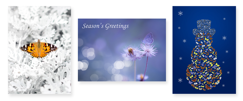 Butterfly Conservation 2016 Christmas Cards