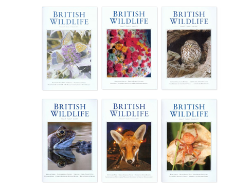 British Wildlife now published by NHBS