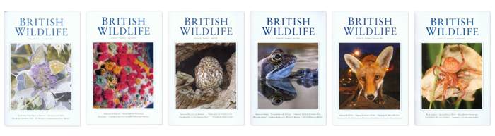 British Wildlife