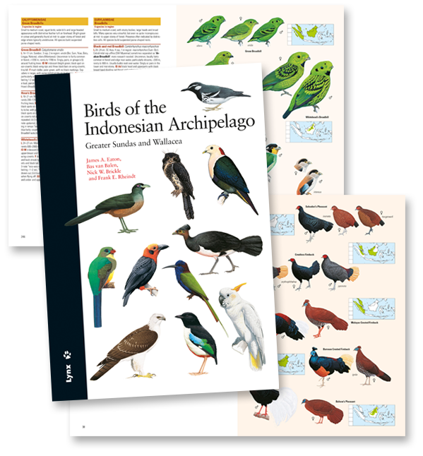 Birds of the Indonesian Archipelago: Greater Sundas and Wallacea