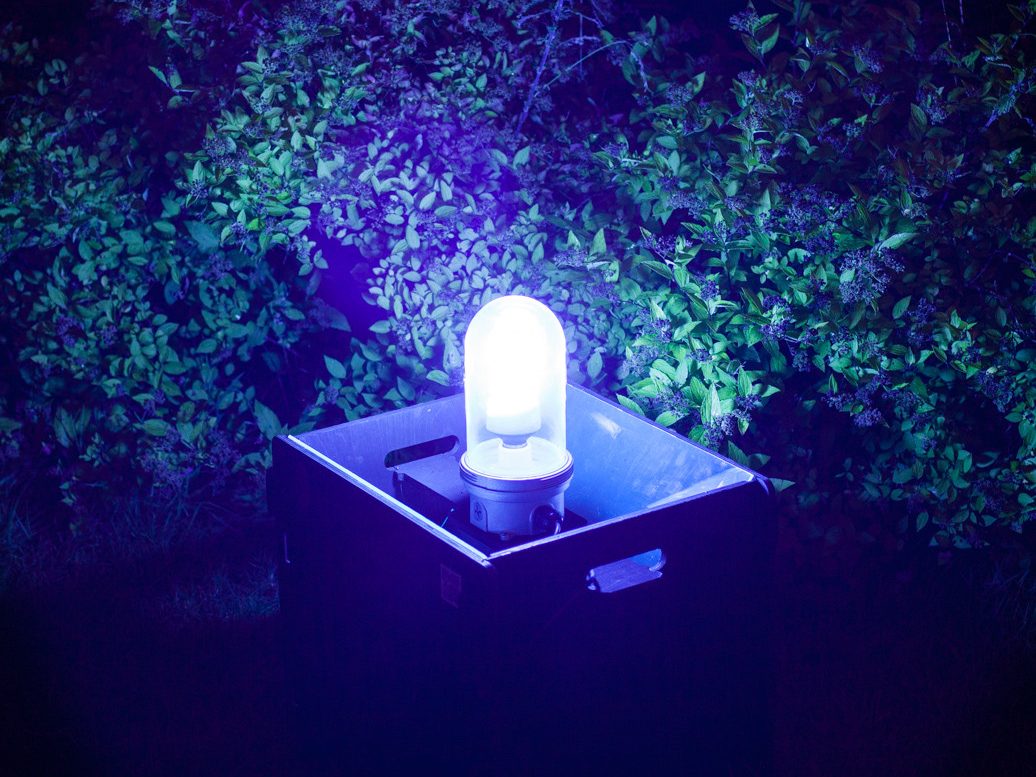 The NHBS Guide to Moth Traps