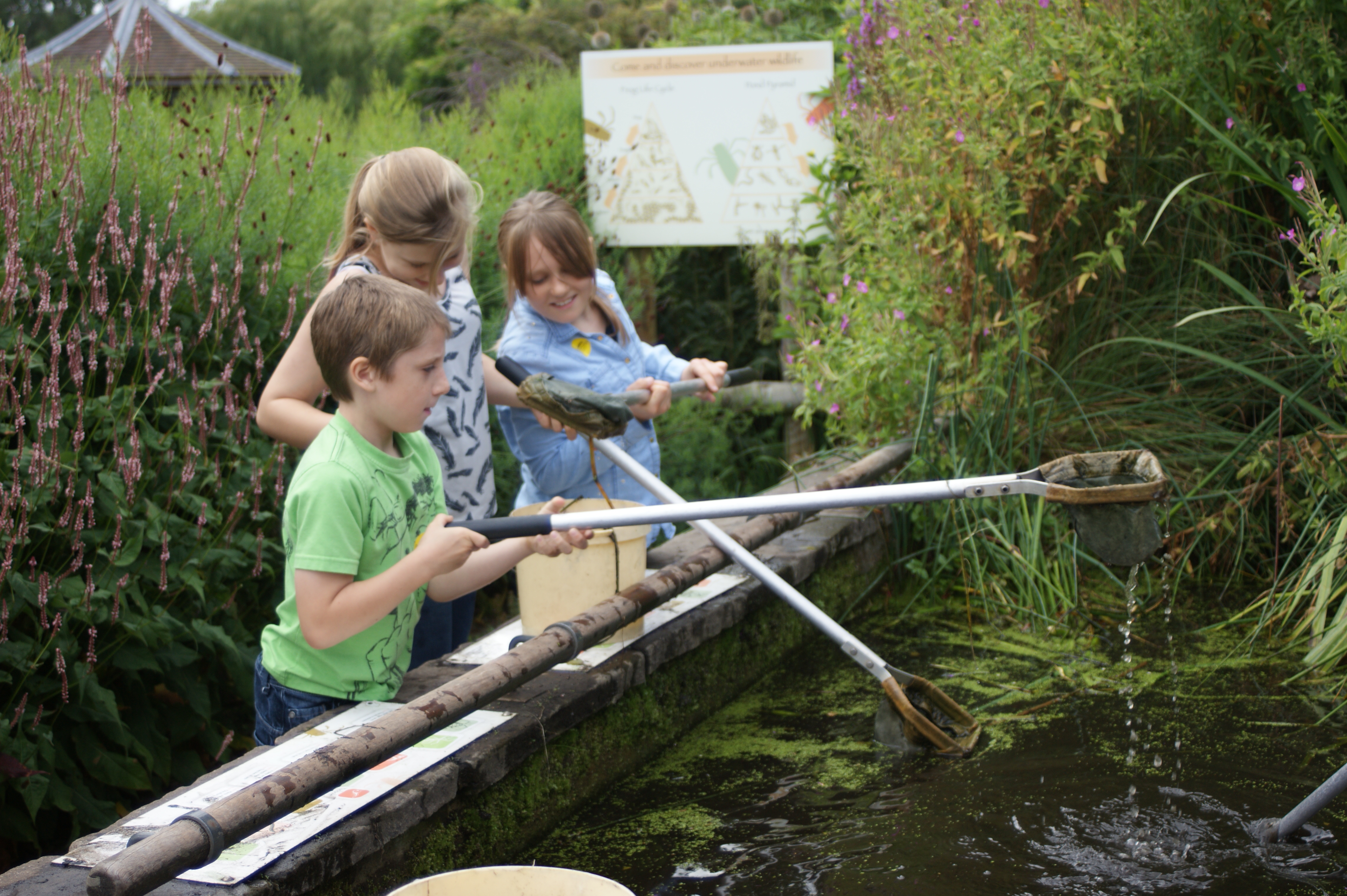 Pond Dipping, Pensthorpe by Spencer Wright