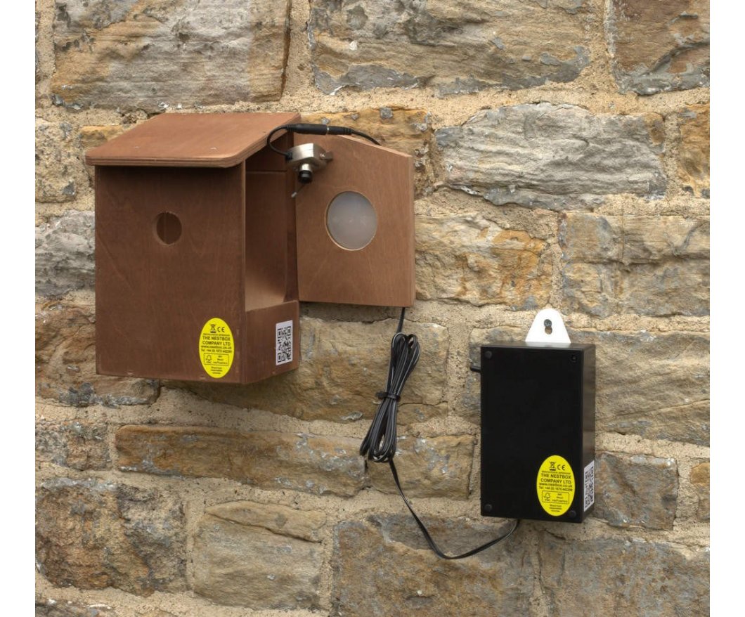 bird box and camera
