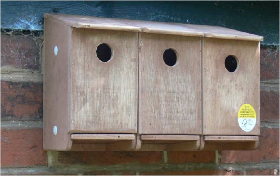 Top 10 Bird Boxes for Walls and Fences - Hoopoe - A blog 