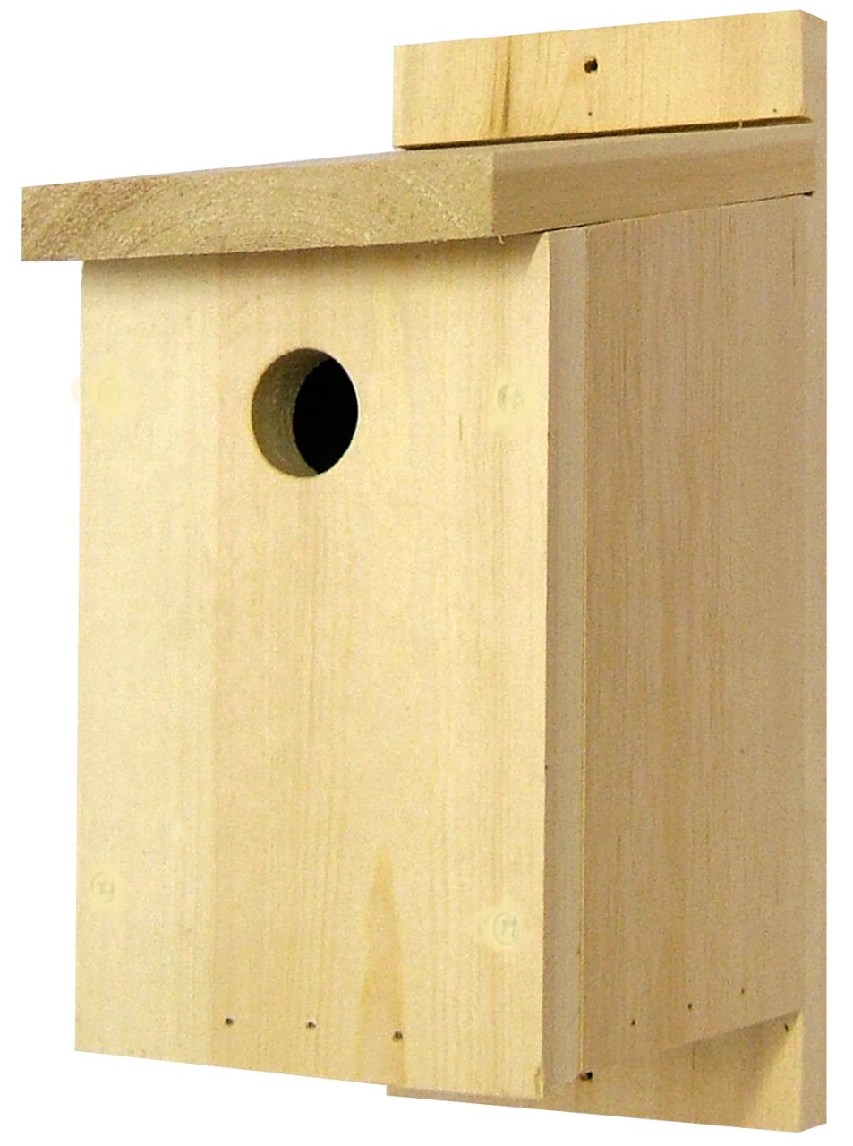 Top 10 Bird Boxes For Walls And Fences - Hoopoe - A Blog By Nhbs