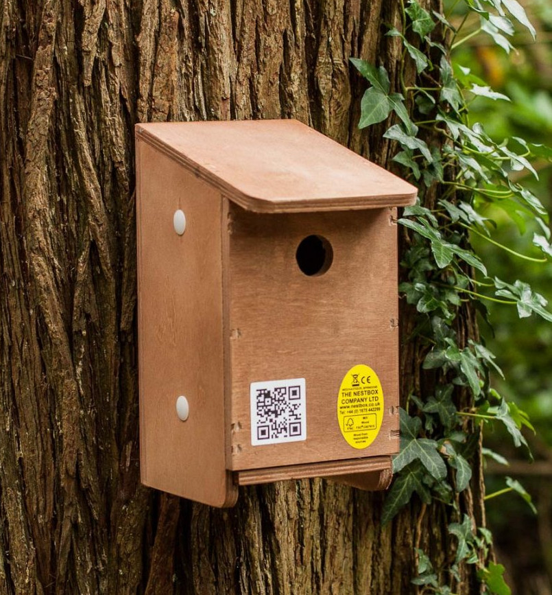 Top 10 Bird Boxes for Trees and Woodland - Hoopoe - A blog by nhbs