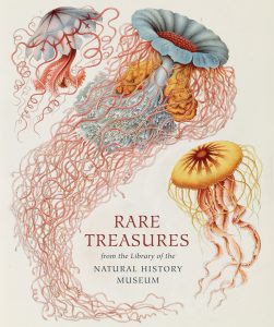 Rare Treasures