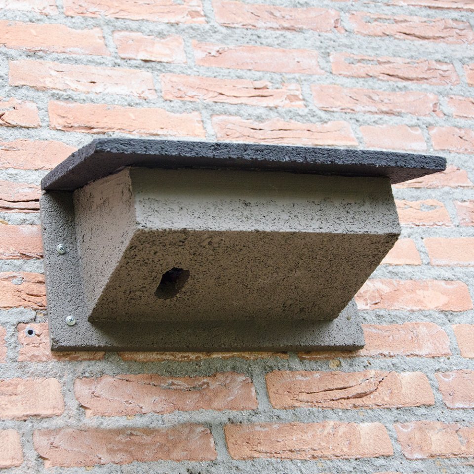 How to put up a nest box Hoopoe A blog by nhbs