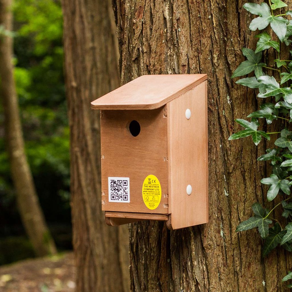 How To Put Up A Nest Box Hoopoe A Blog By Nhbs