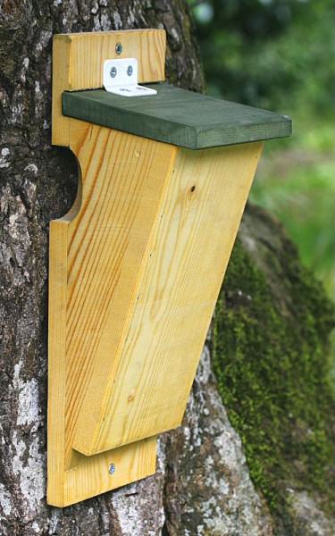 Top 10 Bird Boxes for Trees and Woodland