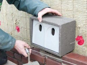 Top 10 Bird Boxes for New Builds and Developments