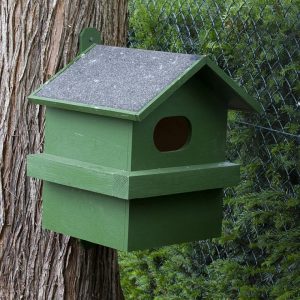Red Squirrel House