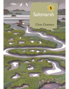 Saltmarsh by Clive Chatters