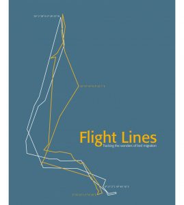 Flight Lines