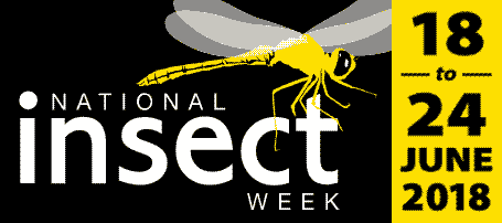 National Insect Week 2018