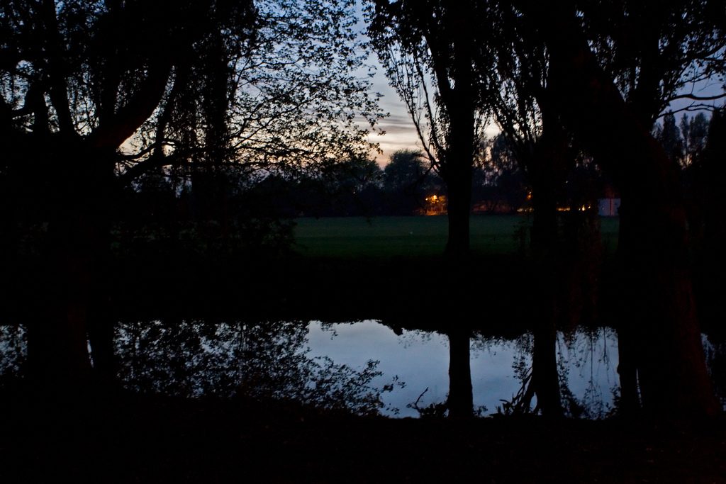 Looking for bats at twilight by Nic McPhee via Flickr (CC BY 2.0).