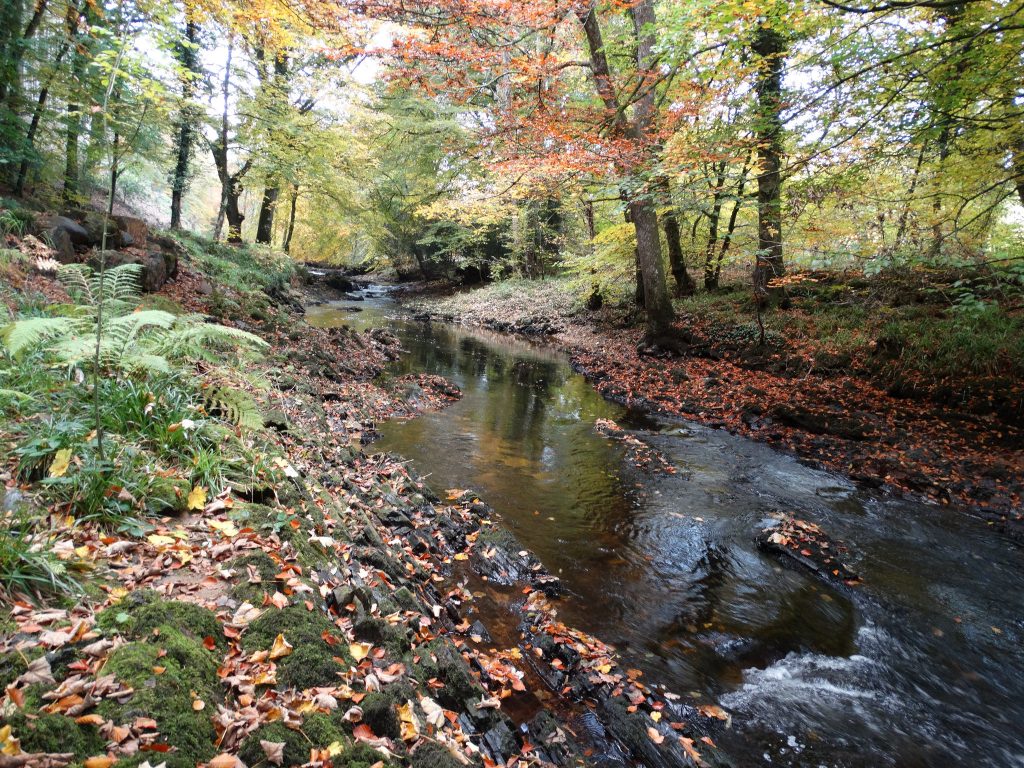 Stretch of the River Teign captured by Westcountry Rivers Trust via Flickr (CC BY 2.0).