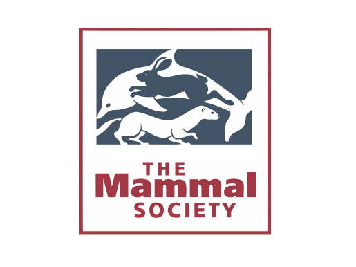 Mammal Society: Q&A with Stephanie Wray