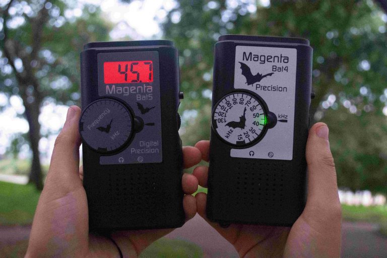 The NHBS Guide to Bat Detecting for Beginners