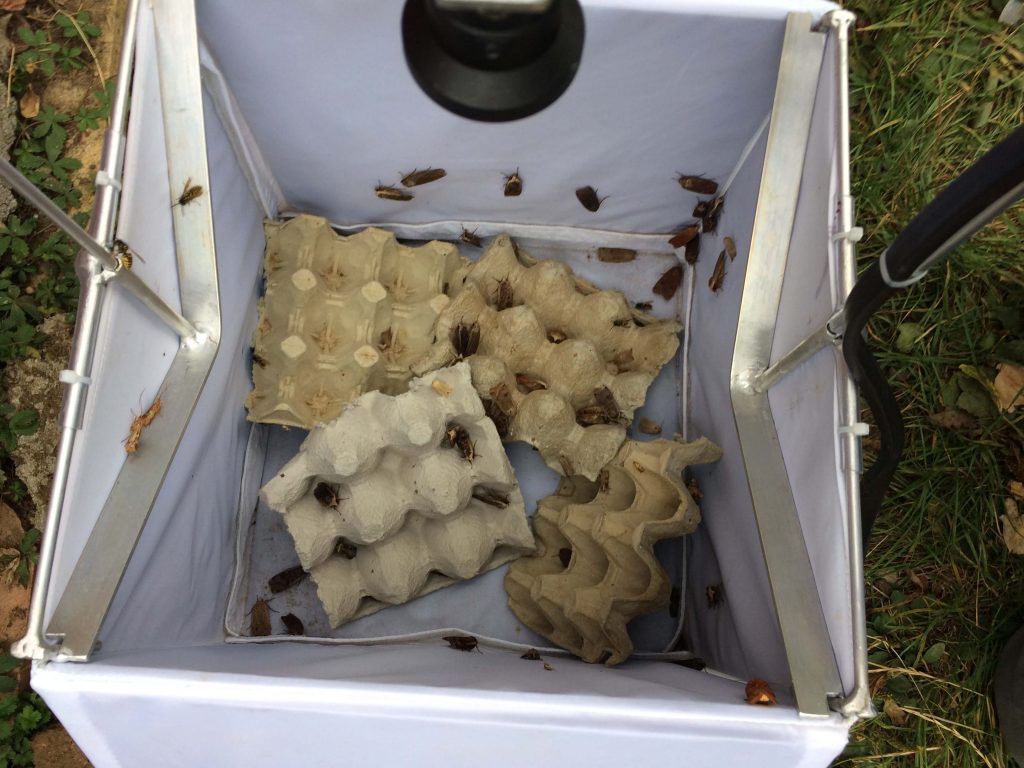 A Cheaper, Lighter Moth Trap May Make Citizen Science Projects More  Affordable