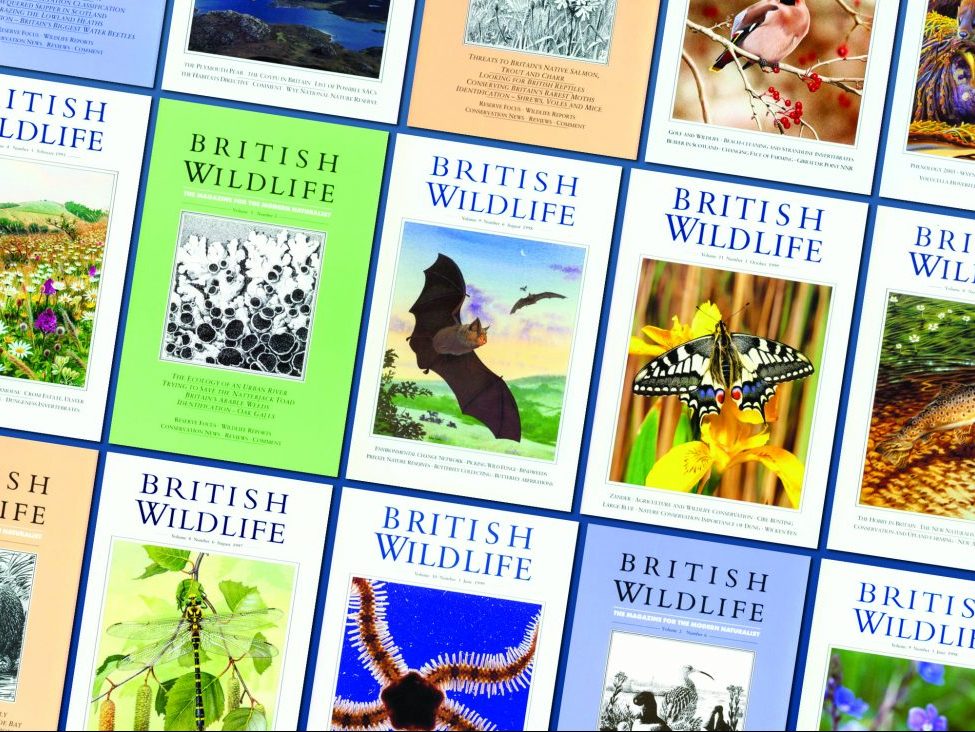 Celebrating 30 years of British Wildlife!