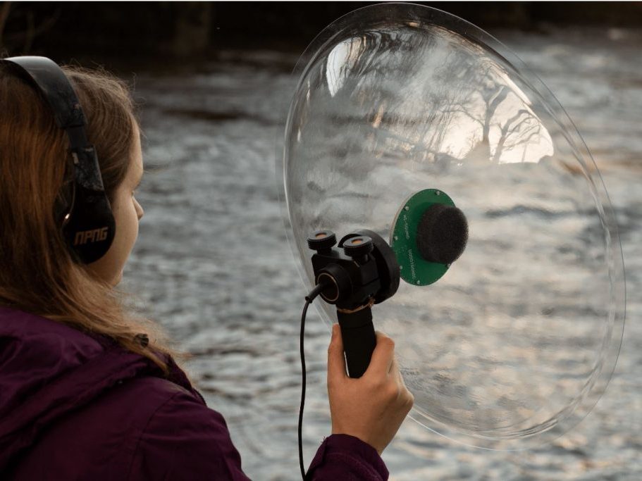 NHBS: In The Field – Hi-Sound Stereo Parabolic Microphone